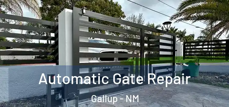 Automatic Gate Repair Gallup - NM