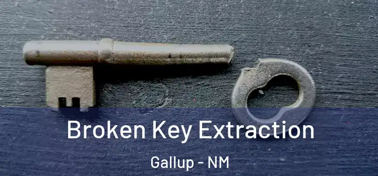Broken Key Extraction Gallup - NM