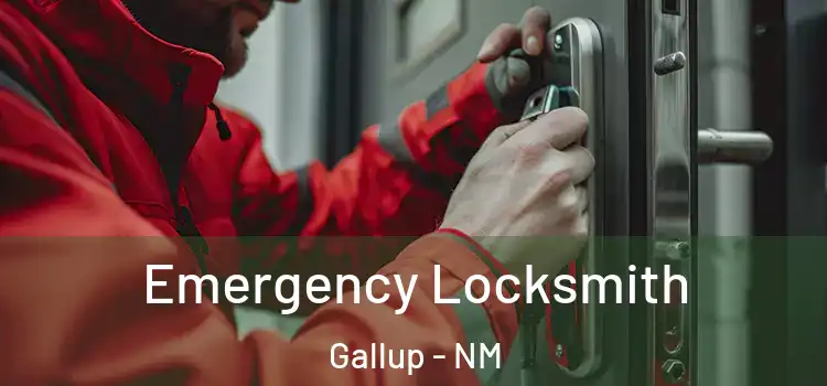 Emergency Locksmith Gallup - NM